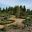 The Arid Garden Cranbourne Royal Botanic Gardens